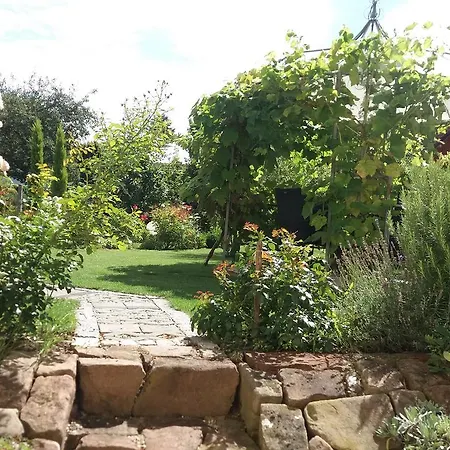 Apartment Pracht - Grosszuegige Ab 75 Qm Rust